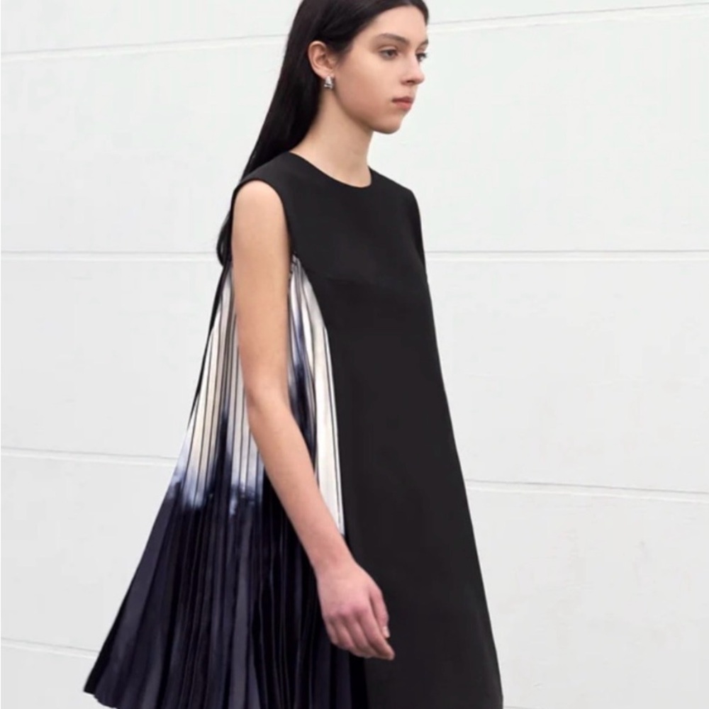 Side printed pleated shift dress